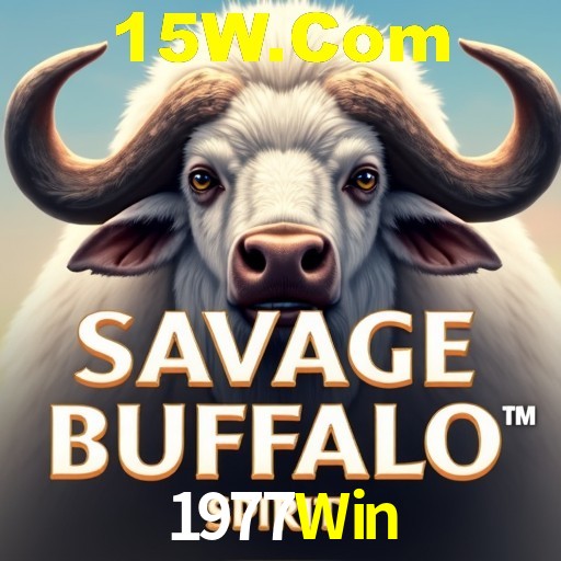 Interface Premium 1977Win