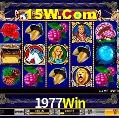Experiência VIP 1977Win